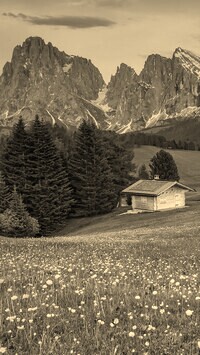 Szary + Sepia