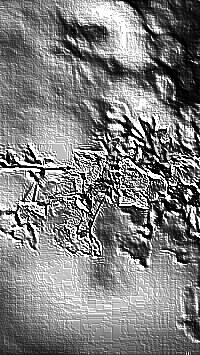 Skamielina