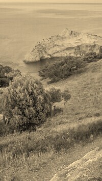 Szary + Sepia
