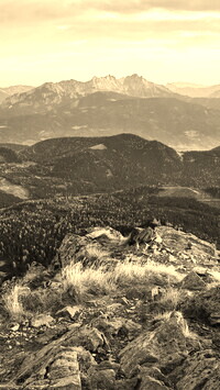 Szary + Sepia