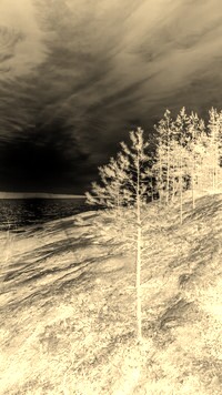 Sepia + Negatyw