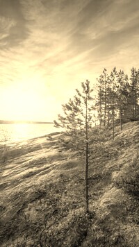 Sepia