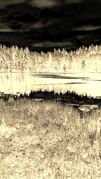 Sepia + Negatyw