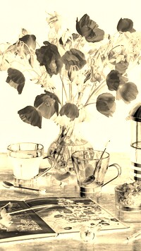 Sepia + Negatyw