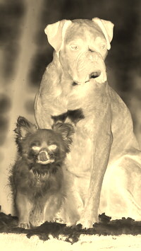 Sepia + Negatyw