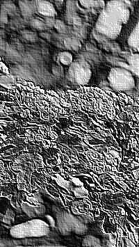 Skamielina