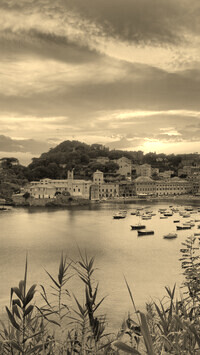 Sepia