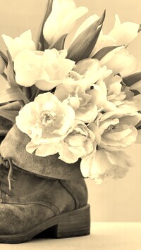 Szary + Sepia