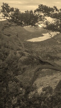 Sepia