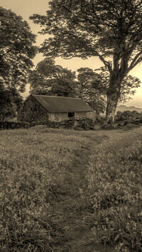 Sepia