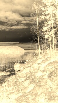 Sepia + Negatyw