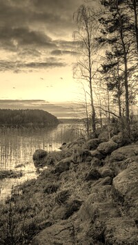 Sepia