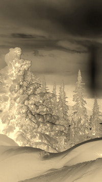 Sepia + Negatyw