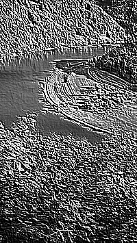 Skamielina