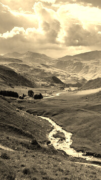 Sepia