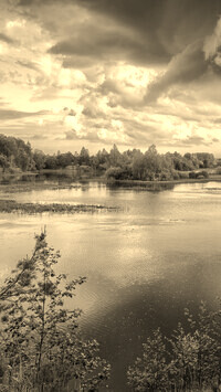 Szary + Sepia
