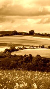 Sepia