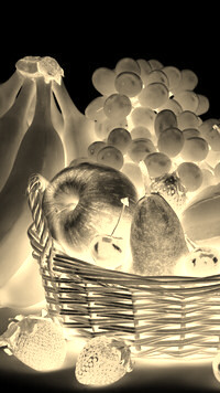 Sepia + Negatyw
