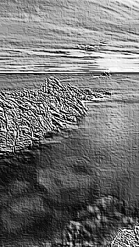 Skamielina
