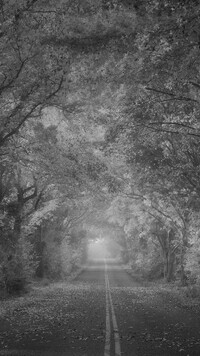 Szary