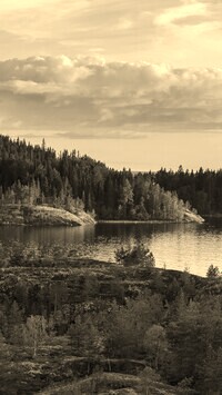Sepia