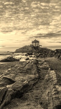Szary + Sepia