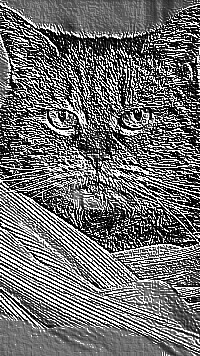 Skamielina