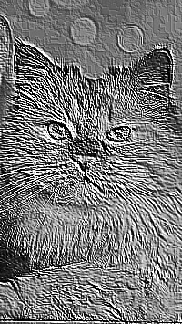 Skamielina