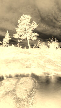 Sepia + Negatyw