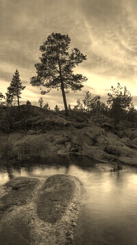 Szary + Sepia