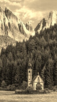 Szary + Sepia