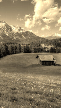 Szary + Sepia