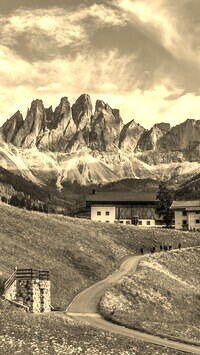 Szary + Sepia