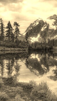 Sepia