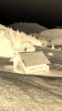 Sepia + Negatyw