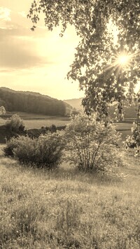 Szary + Sepia