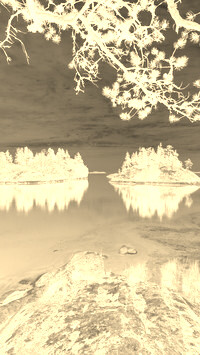 Sepia + Negatyw