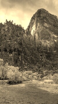 Szary + Sepia