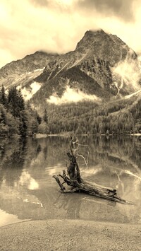 Szary + Sepia