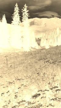 Sepia + Negatyw