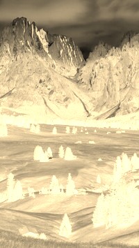 Sepia + Negatyw