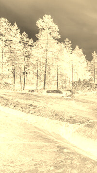 Sepia + Negatyw