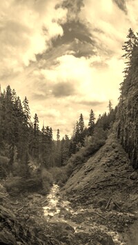 Sepia
