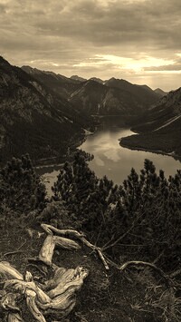Szary + Sepia