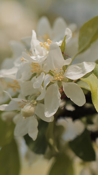 Oryginalny obrazek