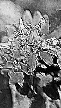 Skamielina