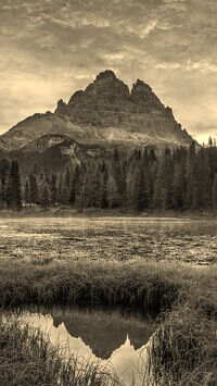 Szary + Sepia