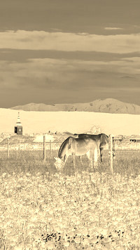 Sepia + Negatyw