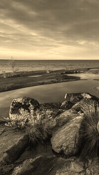 Sepia