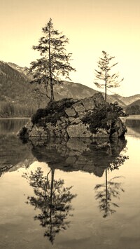 Szary + Sepia